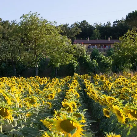 Il Caratello Apartment
